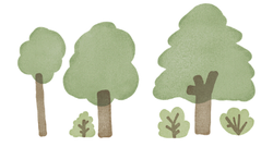 background shape