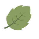 background shape