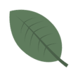 background shape