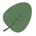 background shape